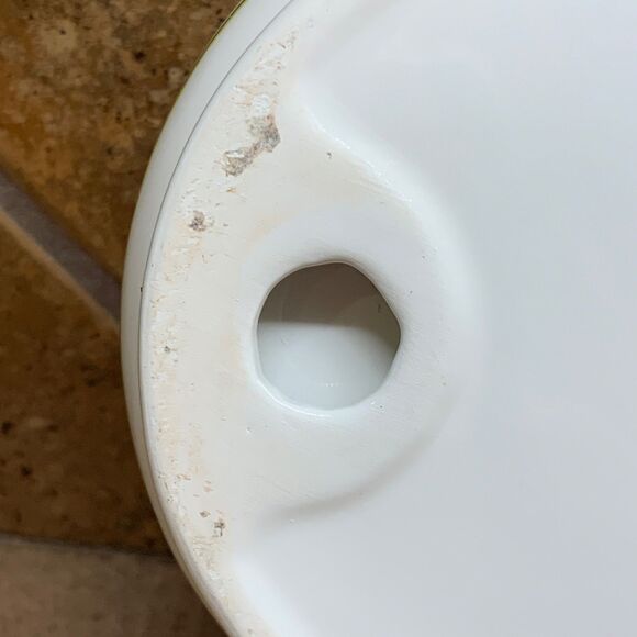 Lynn Chase Fantasia Orchids Platter 6.5 X 10" Vanity Bathroom Tray Trinket Dish - Picture 13 of 16